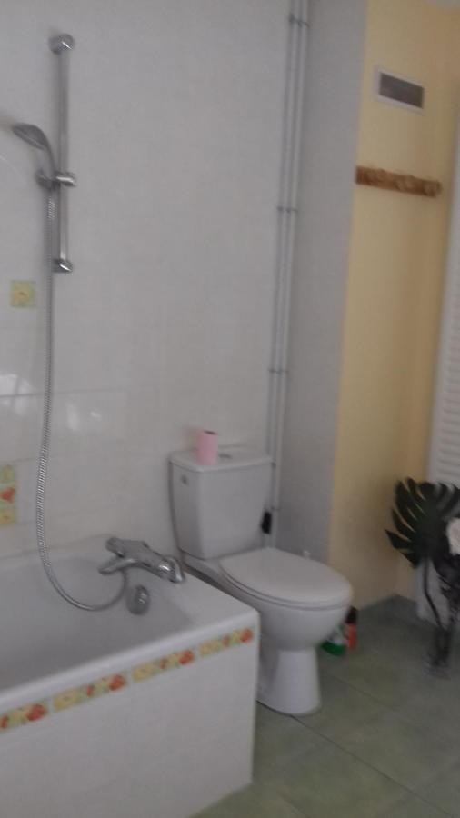 Chambre Chez L Habitant Malguenac Εξωτερικό φωτογραφία